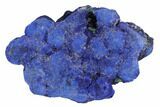 Vivid Blue, Cut/Polished Azurite Nodule - Siberia #94590-1